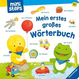 Mein erstes großes Wörterbuch