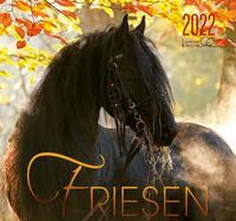 Friese 2022