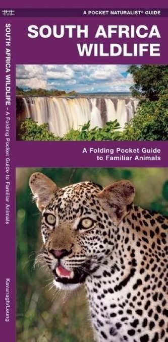 South Africa Wildlife: A Folding Pocket Guide to Familiar Animals