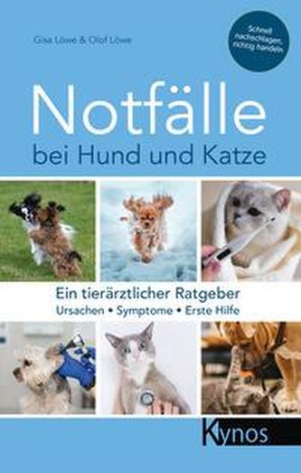 Notfälle bei Hund und Katze