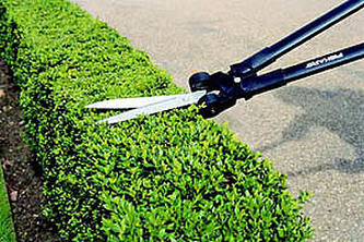 Nůžky na trávu a živý plot pákové PowerLever GS53 899 mm,