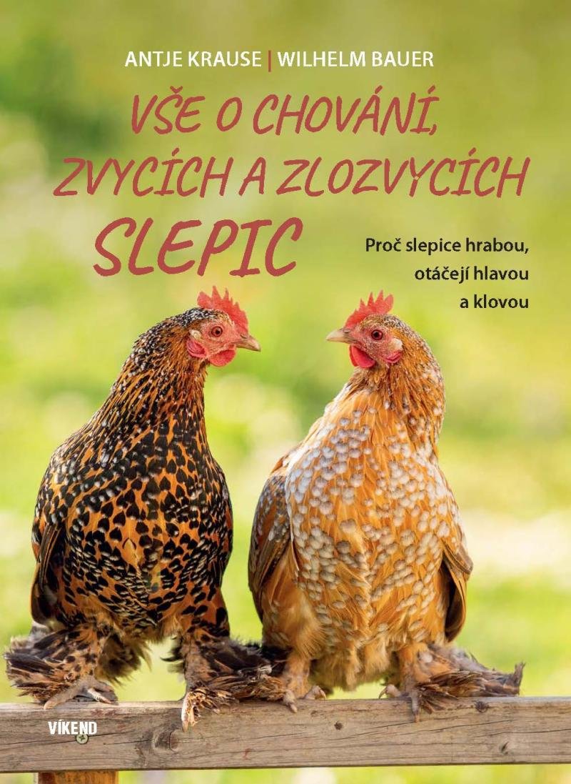 Co miluji slepice?