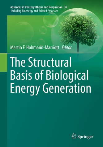 The Structural Basis of Biological Energy Generation