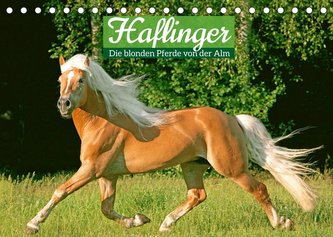 Haflinger: Die blonden Pferde von der Alm (Tischkalender 2022 DIN A5 quer)