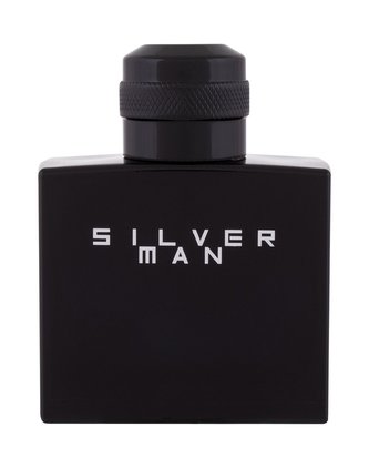 Jeanne Arthes Silver Man Toaletní voda 100 ml pro muže
