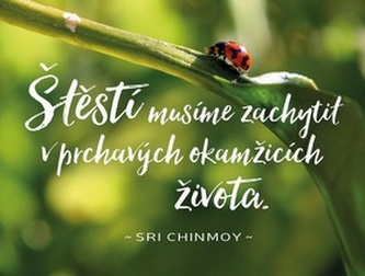 Plechová cedulka Štěstí musíme zachytit