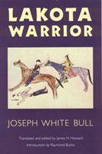 Lakota Warrior