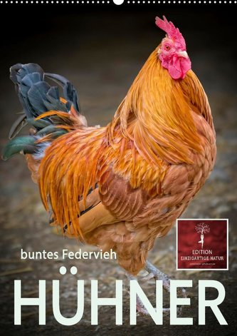 Hühner - buntes Federvieh (Premium, hochwertiger DIN A2 Wandkalender 2022, Kunstdruck in Hochglanz) Hühner - buntes Federvieh (Premium, hochwertiger DIN A2 Wandkalender 2022, Kunstdruck in Hochglanz)