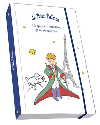MALÝ PRINC Note book A6 NB104 LE P. PRINCE KIUB