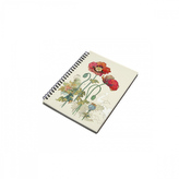 SEŠIT A6 BUG0170 BUG ART EW