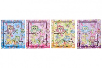 Deníček se zámkem sova 50 listů 2 barvy v sáčku 18x15cm