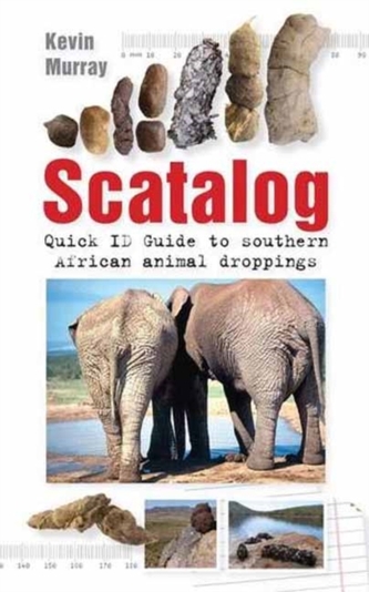 Scatalog Scatalog