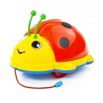 Beruška na tažení