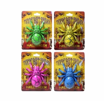 Pavouk s překvapením