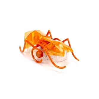 HEXBUG Micro Ant - oranžový