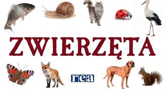 Zwierzęta rozkładanka Zwierzęta rozkładanka