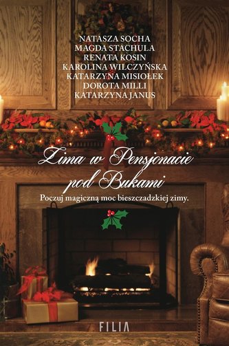 Zima w Pensjonacie pod Bukami Zima w Pensjonacie pod Bukami