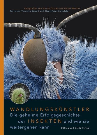 Wandlungskünstler. Die geheime Erfolgsgeschichte der Insekten und wie sie weitergehen kann