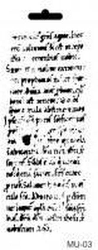 Šablona Cadence - písmo / 25x10 cm