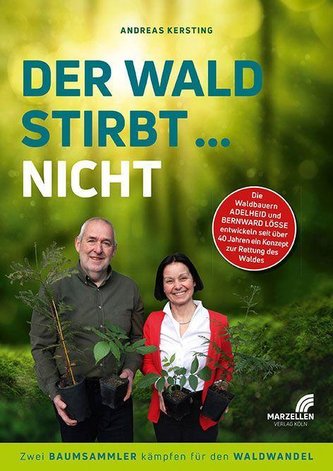 Der Wald stirbt... nicht