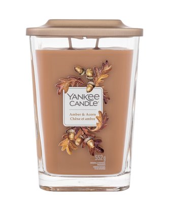 YANKEE CANDLE Amber & Acorn svíčka 553g / 2knoty