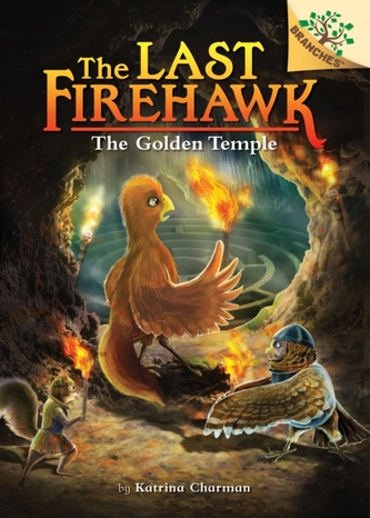 The Secret Maze: A Branches Book (The Last Firehawk #10) (Library Edition)