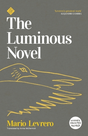 The Luminous Novel The Luminous Novel