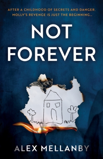 Not Forever Not Forever
