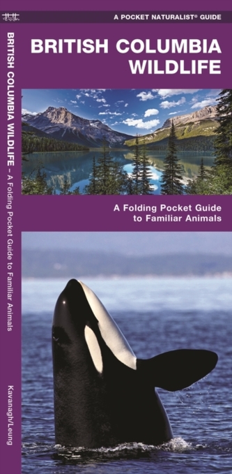 British Columbia Wildlife
