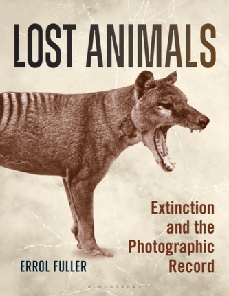 Lost Animals