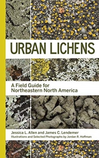Urban Lichens Urban Lichens