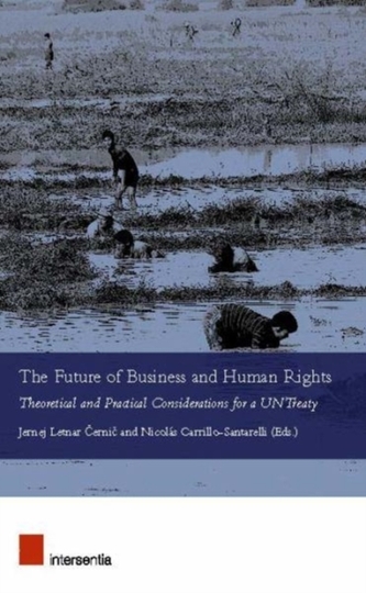The Future of Business and Human Rights