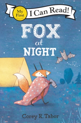 Fox at Night Fox at Night