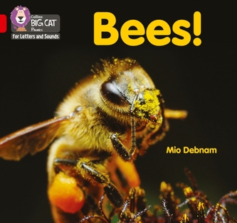 Bees! Bees!