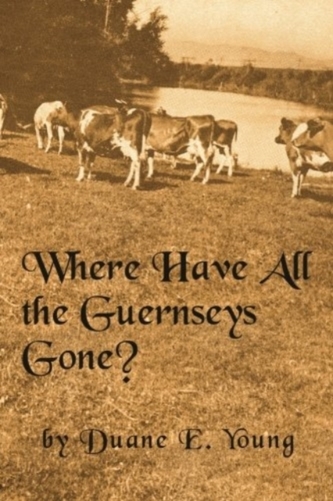 WHERE HAVE ALL THE GUERNSEYS GONE?
