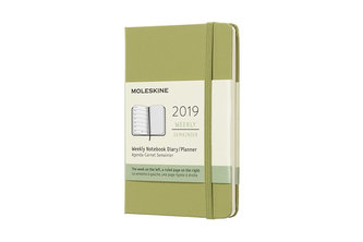 Moleskine: Plánovací zápisník 2019 tvrdý světle zelený S