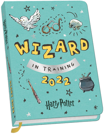 Diář A6 2022 Harry Potter: Fashion (17,5 x 16 cm)