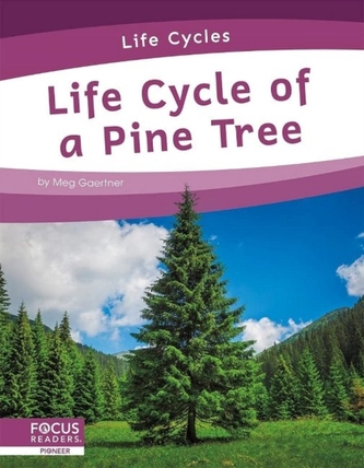 Life Cycles: Life Cycle of a Pine Tree