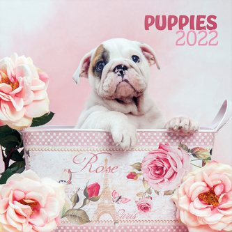 Kalendář 2022 16 měsíců: Štěňata (30 x 30|60 cm)