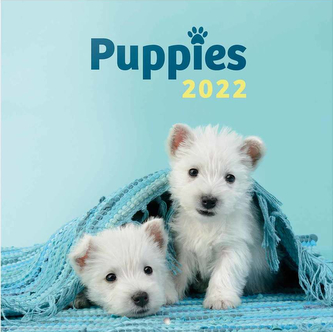 Kalendář 2022 16 měsíců: Štěňata (30 x 30|60 cm)