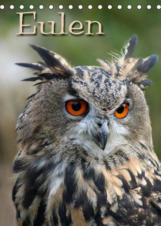 Eulen (Tischkalender 2022 DIN A5 hoch)