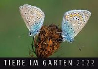 Tiere im Garten 2022