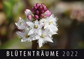 Blütenträume 2022