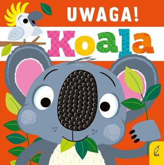Uwaga! Koala