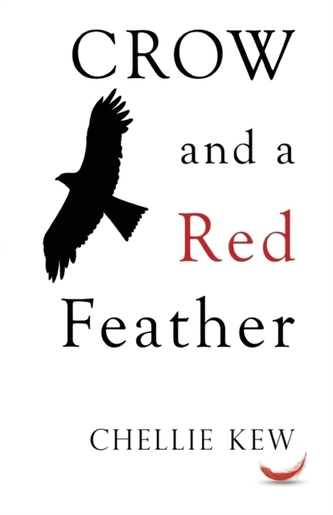Crow and a Red Feather Crow and a Red Feather