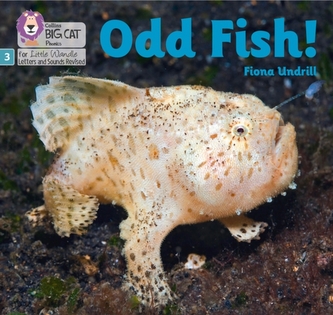 Odd Fish! Odd Fish!