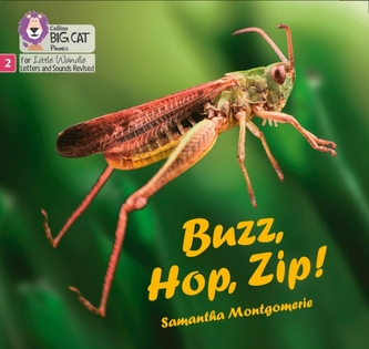 Buzz, Hop, Zip! Buzz, Hop, Zip!