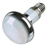 Basking Spot-Lamp 50 W (RP 2,10 Kč)