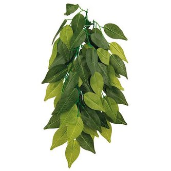 Plastová rostlina 20x50 cm FICUS - DOPRODEJ