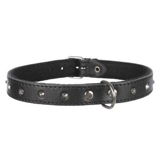 Obojek kožený BASIC s nýty S-M 33-39cm/16 mm, černý - DOPRODEJ